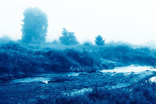 River Flowing Along Foggy Vegetation (Blue Shade Photo)