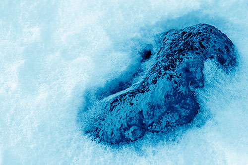Rock Emerging From Melting Snow (Blue Shade Photo)