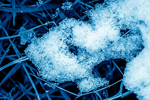 Sad Melting Grass Tangled Snow Face (Blue Shade)