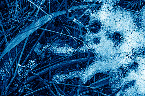 Sad Mouth Melting Ice Face Creature Among Soggy Grass (Blue Shade Photo)