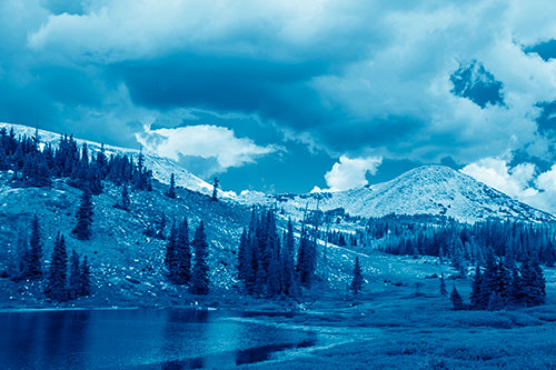 Scattered Trees Along Mountainside (Blue Shade Photo)