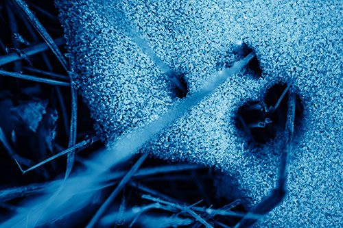 Screaming Illuminated Grass Piercing Snow Face (Blue Shade)