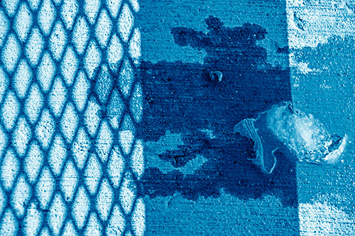 Shadow Obstructs Slobbery Pooch Faced Puddle (Blue Shade Photo)
