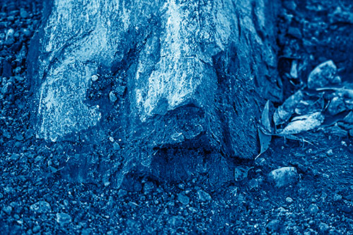 Slime Covered Rock Face Resting Along Shoreline (Blue Shade Photo)