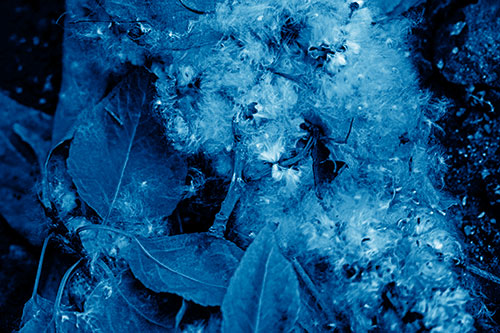 Smiling Cotton Stick Face Among Fallen Leaves (Blue Shade)