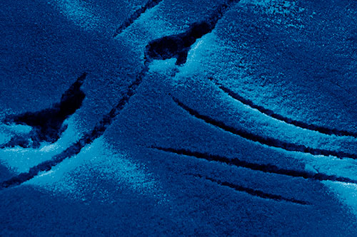 Snowy Bird Footprint Claw Marks (Blue Shade Photo)
