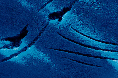 Snowy Bird Footprint Claw Marks (Blue Shade)
