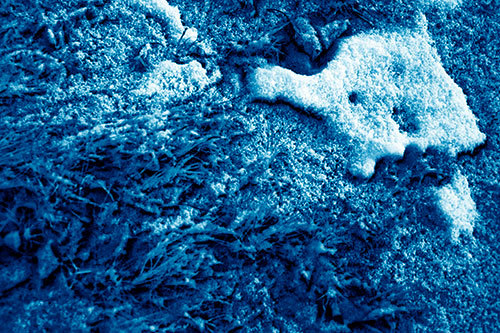 Snowy Grass Forming Demonic Horned Creature (Blue Shade Photo)