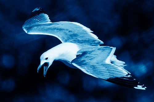 Squealing Seagull Spots Creature Among Lake Below (Blue Shade)