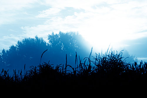 Sun Rises Beyond Fog Filled Treeline (Blue Shade Photo)