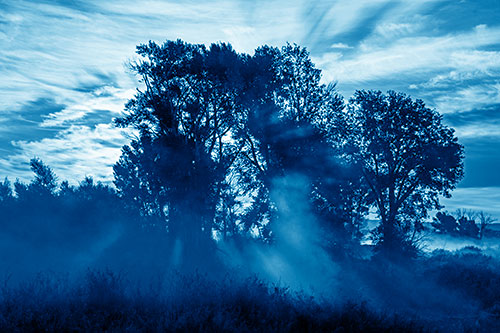 Sunlight Rays Burst Through Fog Surrounded Trees (Blue Shade)