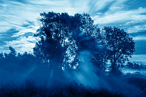 Sunlight Rays Burst Through Fog Surrounded Trees (Blue Shade Photo)