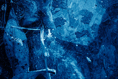 Terrified Ice Face Frozen Beside Leaf (Blue Shade Photo)
