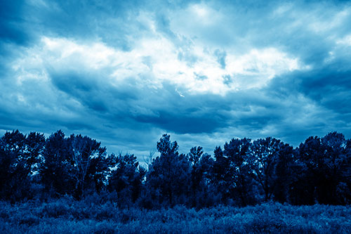 Thunderstorm Clouds Brewing Above Tree Line (Blue Shade)