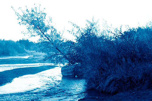 Tilted Fall Tree Over Flowing River (Blue Shade Photo)