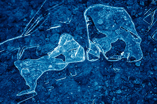 Translucent Frozen Big Eyed Alien Ice Bubble Figure Atop River (Blue Shade Photo)