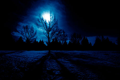 Tree Silhouette Holds Sun Among Darkness (Blue Shade Photo)