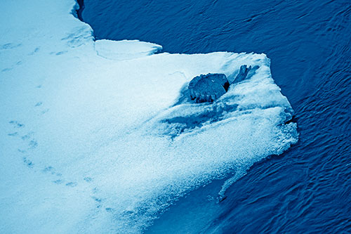 Tree Stump Eyed Snow Face Creature Along River Shoreline (Blue Shade Photo)