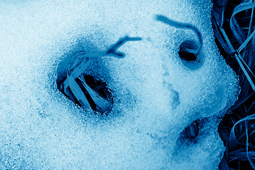 Twisting Grass Eyed Snow Face (Blue Shade)