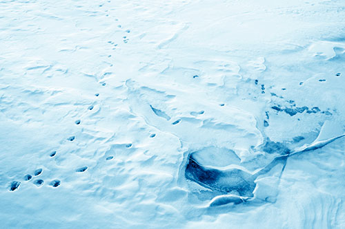 V Shaped Footprint Path Across Frozen Snow Covered River (Blue Shade Photo)