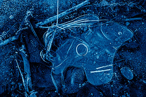 Wide Eyed Bubble Ice Face Looking Downward (Blue Shade)