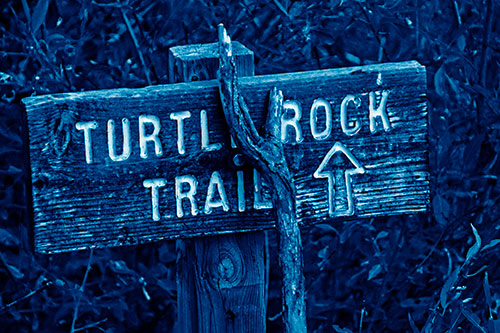 Wooden Turtle Rock Trail Sign (Blue Shade Photo)
