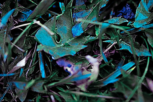 Angry Rotting Triangular Leaf Face (Blue Tint)
