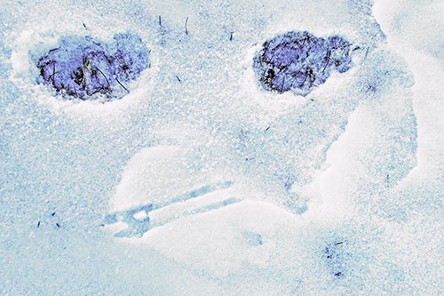 Beak Mouthed Footprint Face Among Snow (Blue Tint)