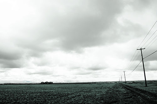 Bleak Clouded Sky Consumes Powerline Prairie (Blue Tint Photo)