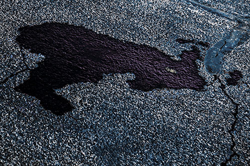 Bunny Rabbit Pavement Puddle Figure Formation (Blue Tint)