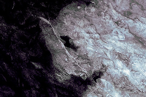 Cracking Demonic Ice Face Pig (Blue Tint)