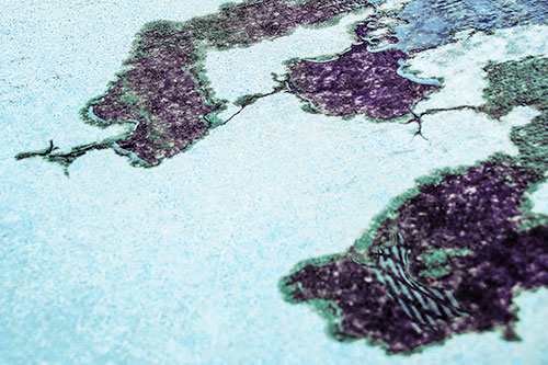 Creeping Water Puddle Across Concrete Pavement (Blue Tint)