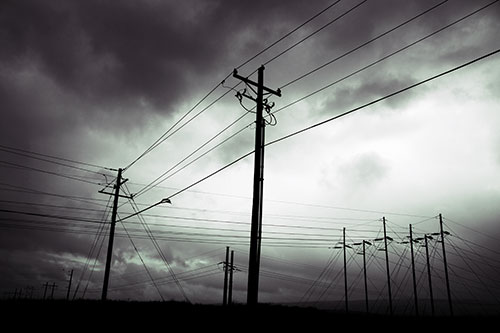 Crossing Powerlines Beneath Rainstorm (Blue Tint Photo)