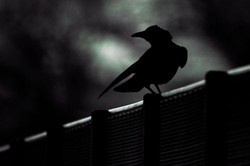 Crow Silhouette Atop Guardrail (Blue Tint Photo)