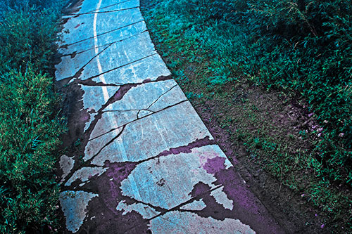 Curving Muddy Concrete Cracked Sidewalk (Blue Tint Photo)