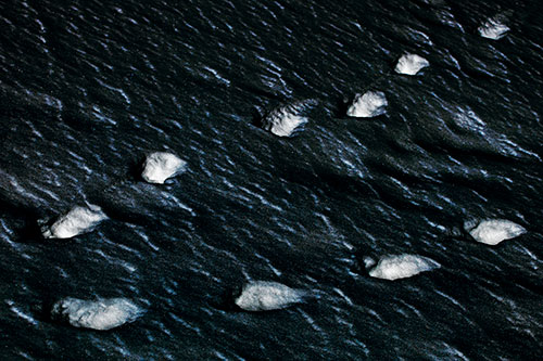 Distancing Snow Footprints (Blue Tint)