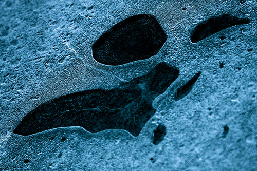 Distorted Skull Face Within Frozen Ice (Blue Tint)