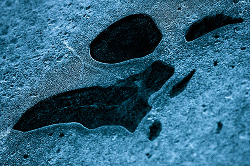 Distorted Skull Face Within Frozen Ice (Blue Tint Photo)