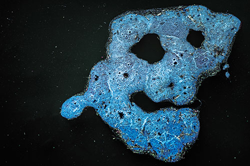 Droopy Smiling Bubble Face Floating Above Soil (Blue Tint)