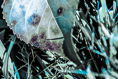 Eye Winking Shadow Smirking Leaf Face (Blue Tint)