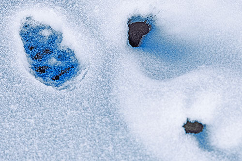 Footprint Eye Snow Face Atop Rock Surface (Blue Tint)