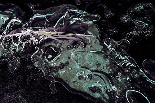 Frozen Shapeshifting Pupil Bubble Eyed Ice Face (Blue Tint)