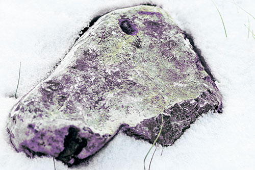 Horse Faced Rock Imprinted In Snow (Blue Tint Photo)