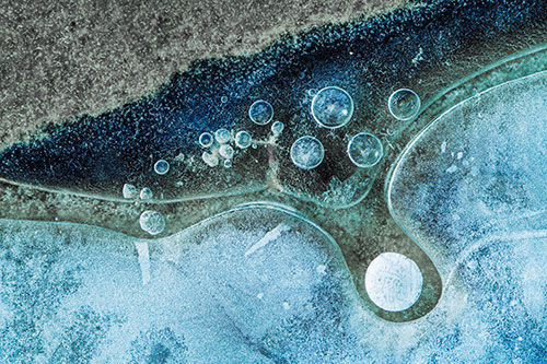 Ice Bubbles Among Frozen Soil Crevice (Blue Tint Photo)