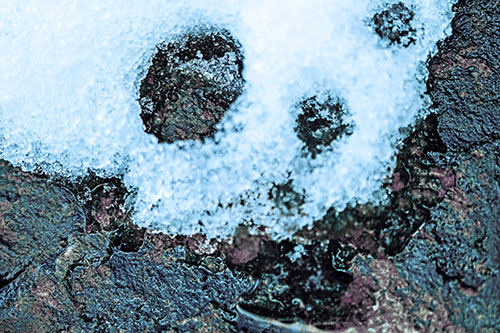 Ice Skull Snow Face Melting Atop Rock (Blue Tint Photo)