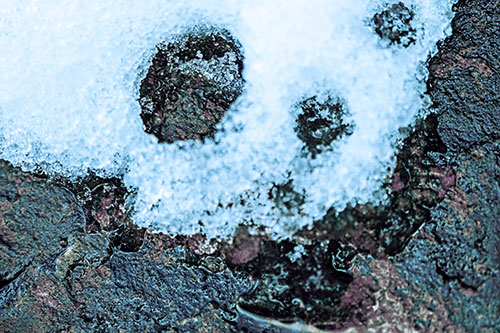 Ice Skull Snow Face Melting Atop Rock (Blue Tint)