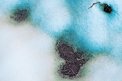 Joyful Soil Face Appears Beneath Melting Snow (Blue Tint Photo)