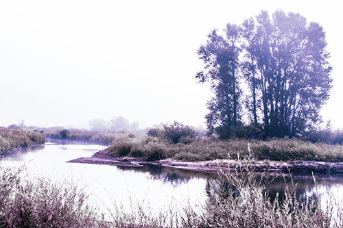 Large Foggy Trees At Edge Of River Bend (Blue Tint Photo)