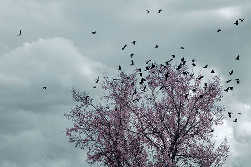 Murder Of Crows Swarm Autumn Tree (Blue Tint)