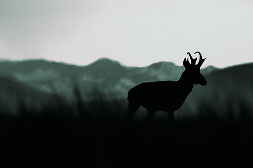 Pronghorn Silhouette Across Mountain Range (Blue Tint)